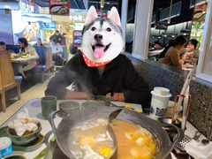 -新辣道鱼火锅(西直门店)