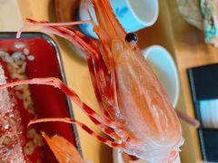-Tsuru鹤日本料理(静安香格里拉店)