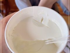 -蒙醇鲜酿酸奶