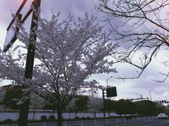 -杭州西湖湖滨银泰亚朵酒店