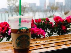 西柚柠香冰鸳鸯-星巴克(成都科学城店)