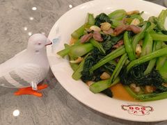 -朱记乳鸽王·非遗石岐乳鸽·全鸽宴(大兴旗舰店)