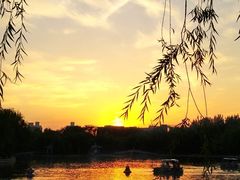 -青年湖公园水上世界