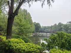-云岗森林公园