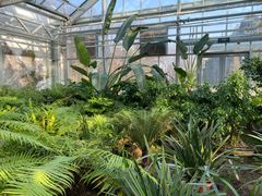 -国家植物园南园