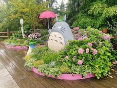 -上海海湾国家森林公园