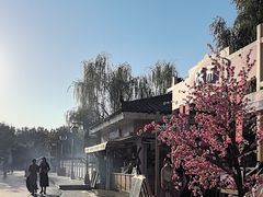 -郑州方特欢乐世界