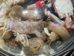 -乔哥铭洋海鲜自助(皇城恒隆广场店)