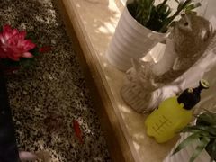 -清沐SPA生活馆(观前街店)