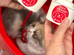 -DQ·蛋糕·冰淇淋(五角场万达店)
