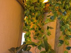 -蒙古人烤羊大师·绿野餐厅(工农大路店)