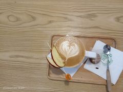 -树咖啡tree coffee