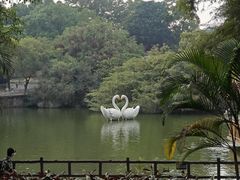 -深圳野生动物园