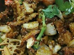 -靓蛙馆