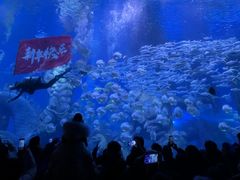 -哈尔滨波塞冬海底世界