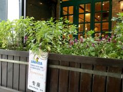 -玛格萝妮比萨屋(四平店)