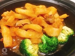鲍汁蹄筋鱼肚煲-朱仔记食府(江南大道店)