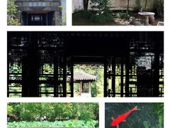 -拙政园