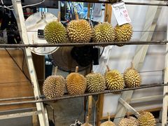 -都念榴莲·城市榴莲