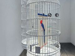 -香港会议展览中心演讲厅