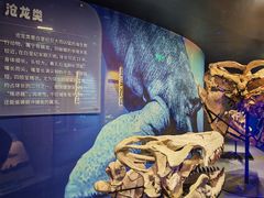 -国家自然博物馆