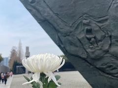 -侵华日军南京大屠杀遇难同胞纪念馆-停车场