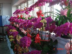 DSC03156-李村大集