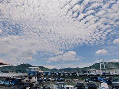 -海门岛七号餐厅