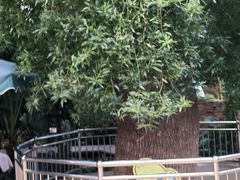 -石家庄市植物园