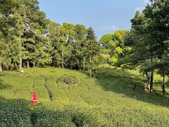 -虞山风景区