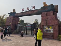 -如皋市龙游湖欢乐世界