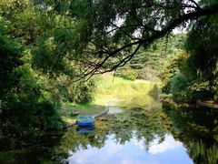 -上海共青森林公园