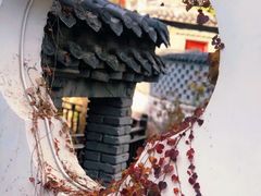 -老张烤羊(王哥庄店)