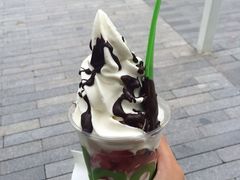 -Salud撒露欧洲冻酸奶(北苑上品店)