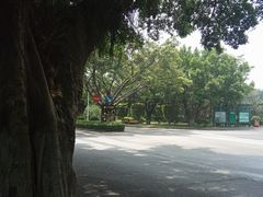 -三水森林公园
