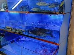 -吴掌柜·藕汤印象(南湖店)