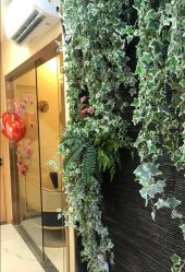 -芳朵美容养生SPA