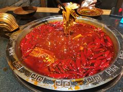 -渝大狮毛肚老火锅(普陀店)