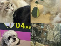 -鹏欣水游城