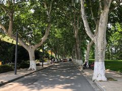 门面街道-EN SPACE恩空间