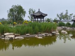 -水西公园