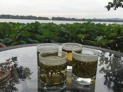 郭庄茶室-郭庄茶室