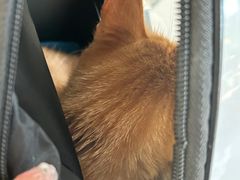 -美联众合24小时·皮肤科·外科·全科诊疗中心(华苑分院)