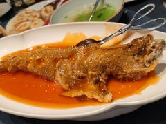 -金狮麟·新豫菜(金码大厦店)