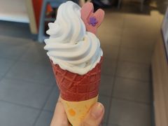 -麦当劳(农光里店)