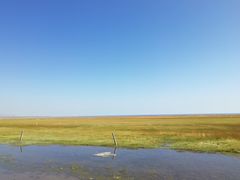 -青海湖国家重点风景名胜区