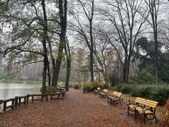 -井之头恩赐公园