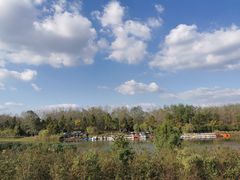 -合肥滨湖国家森林公园