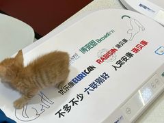 -御宝贝24h宠物医院·转诊中心·CT核磁血透中心(厦门总院)