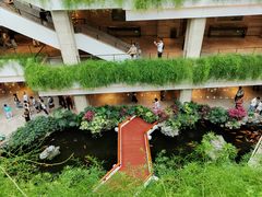 -广州白天鹅宾馆